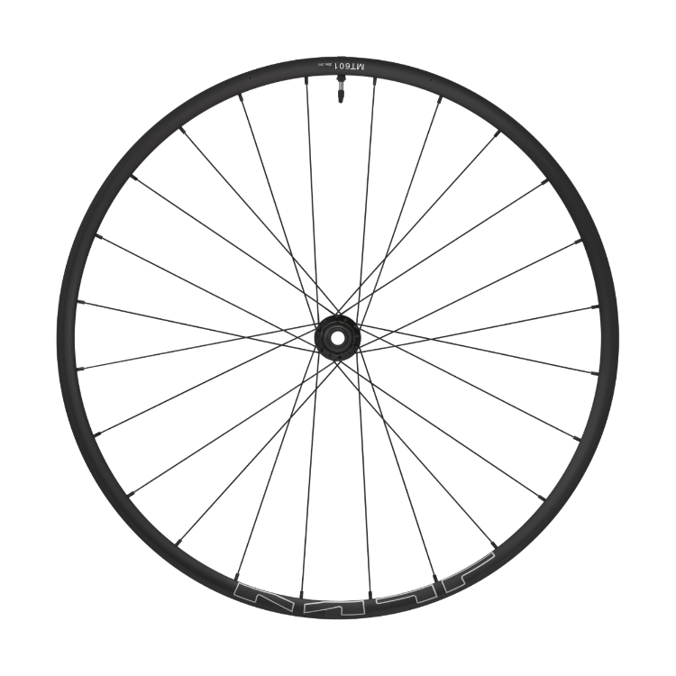29 110X15 MM THRU AXLE WHEEL FRONT