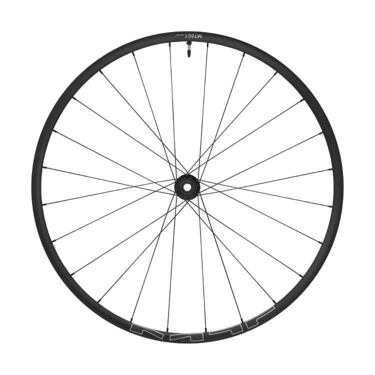 29 100X15 MM THRU AXLE WHEEL FRONT